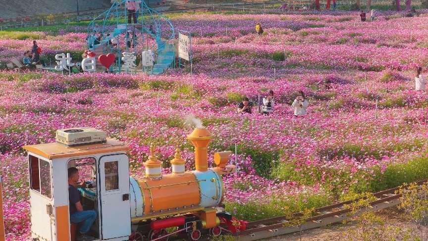 2026三水环两江一号公路白坭段休闲文旅嘉年华璀璨启幕