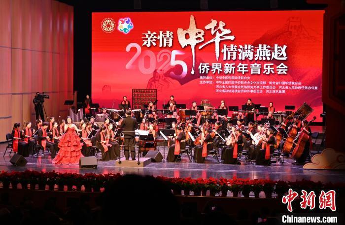 图为音乐会现场。中新社记者 翟羽佳 摄