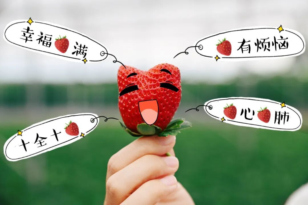 一周售罄！西江非遗美食宴百桌抢空，元旦白坭还能这么玩！