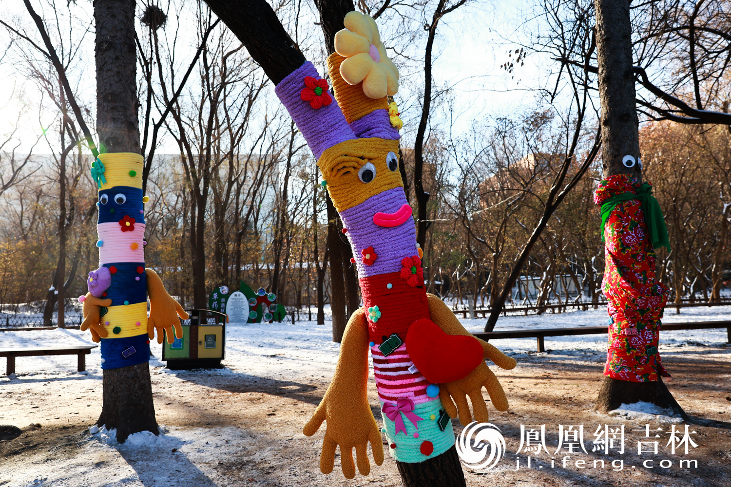 图集|最治愈的“穿搭”！长春给树穿上“高定”毛衣