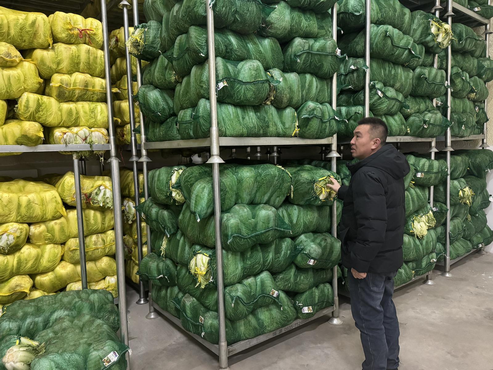 △甘肃天鲜优选电子商务有限责任公司储存的白菜