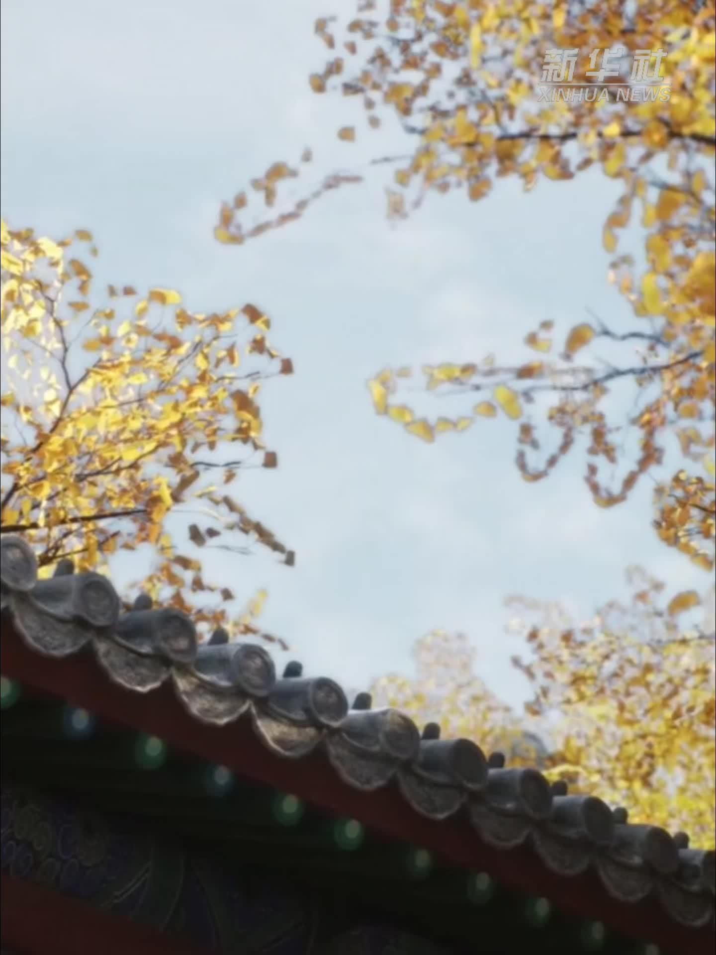 这才叫国潮丨跨界融合，沉浸式VR成文旅“新秀”