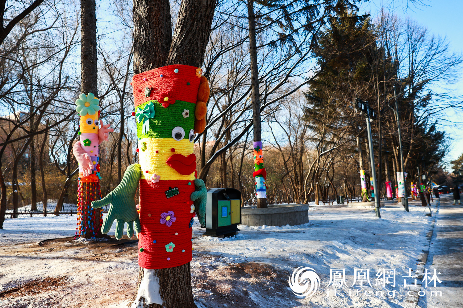 图集|最治愈的“穿搭”！长春给树穿上“高定”毛衣