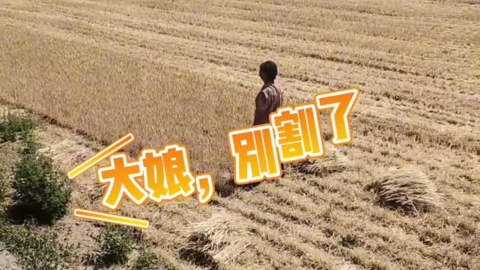 百城暖事|谢谢你2025，让我看到了光来的方向，就在身旁