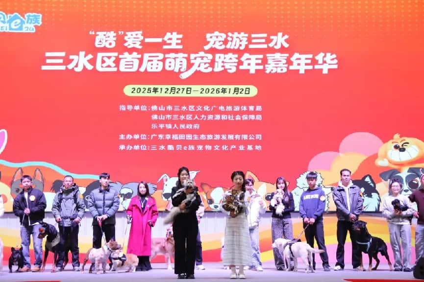 图:人宠T台秀,汇集中华田园犬、英国金毛、中国本土袖犬、德国杜宾、非洲南部狐獴、中国豹猫等众多特色宠物