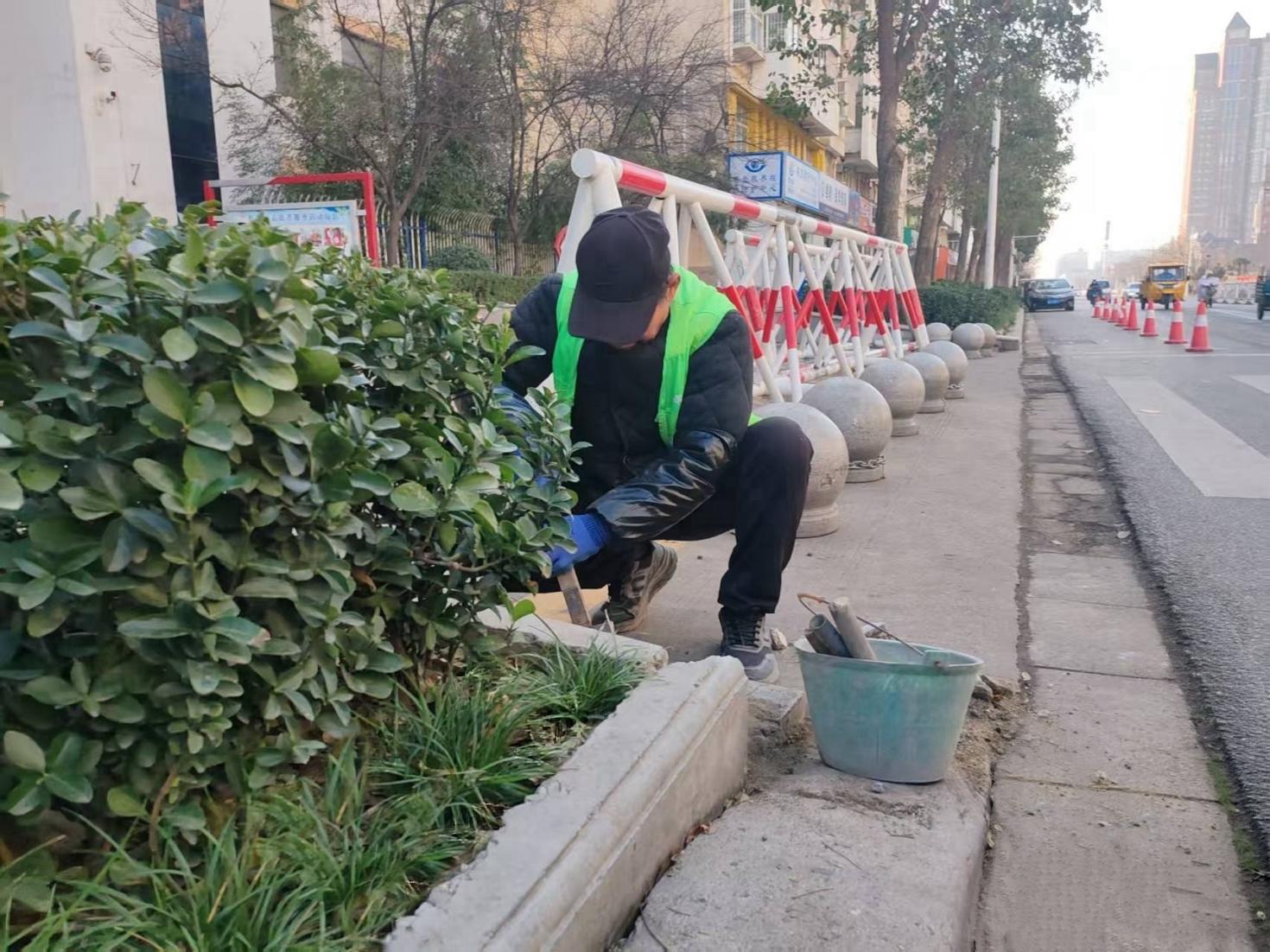 園林職工正在對轄區內花壇松動的瓷磚進行維修 宋陟睿 攝