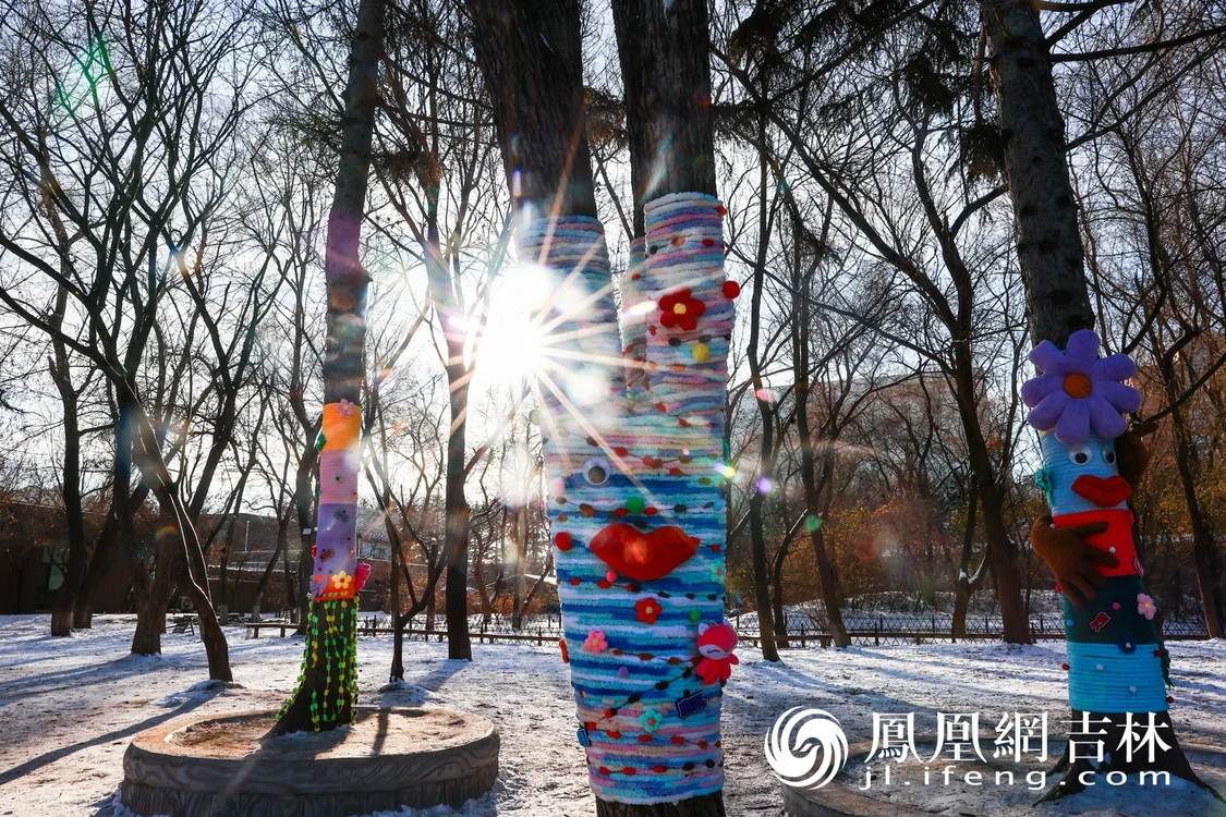 长春市动植物公园内，穿上毛衣的树木萌态尽显。凤凰网吉林 王振东/图