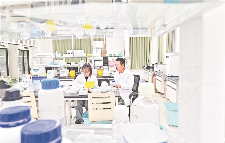 12月10日，海南省陵水黎族自治县安马洋国家南繁科研育种基地南繁公共实验室，中国科学院植物研究所高级工程师刘华招与学生在工作中。