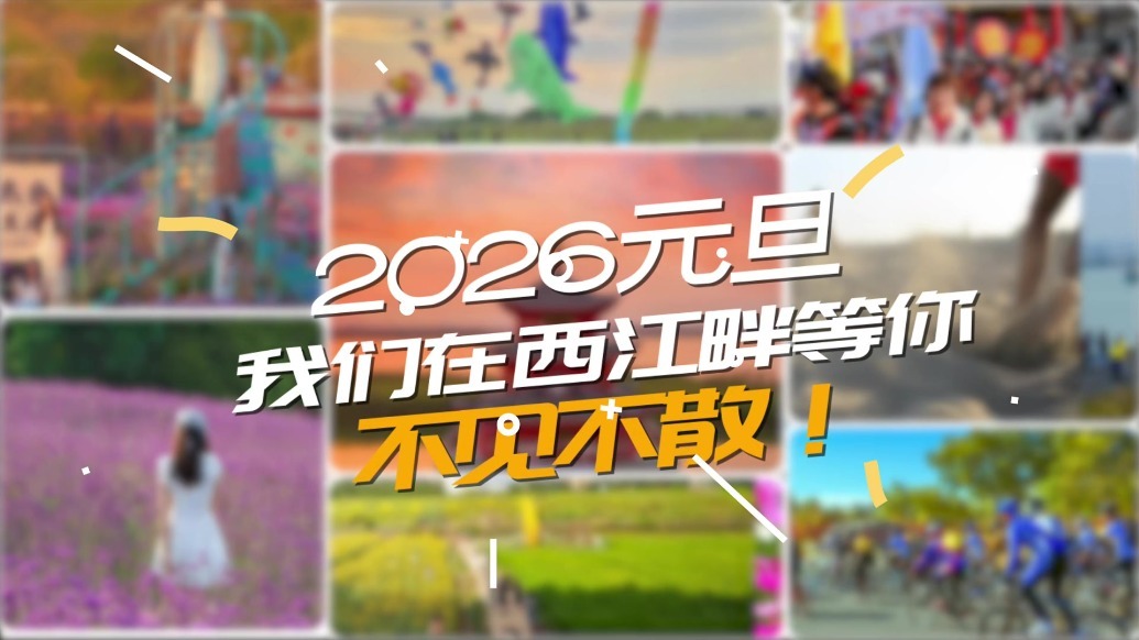 亮点抢先看：2026 三水环两江一号公路白坭段休闲文旅嘉年华