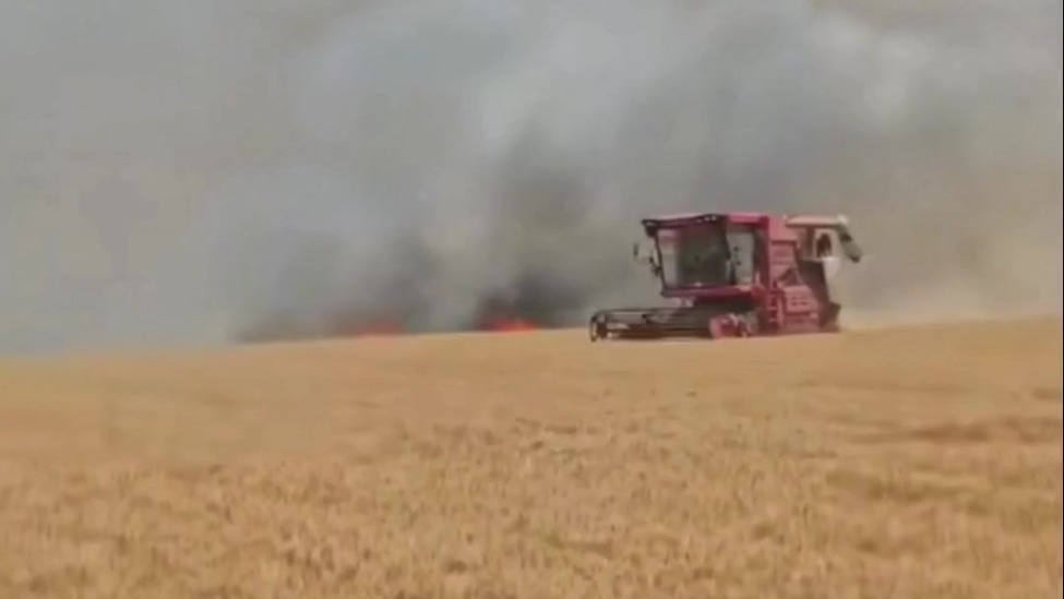 百城暖事|奔赴2026，带着那些善意和勇敢！