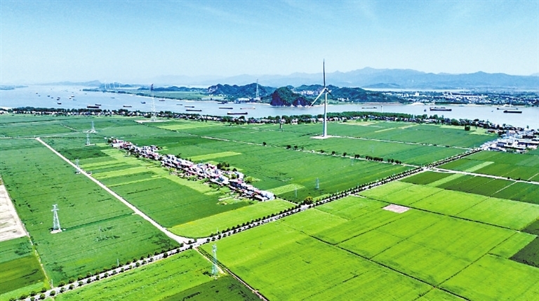 银色风机如巨人列阵。