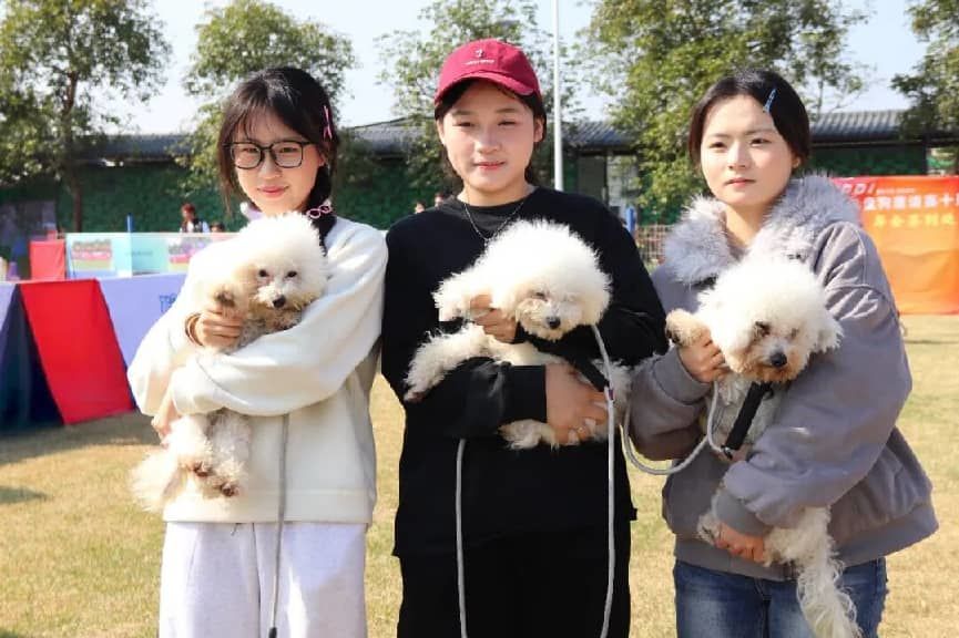 图:当天的活动吸引众多宠主携爱宠打卡