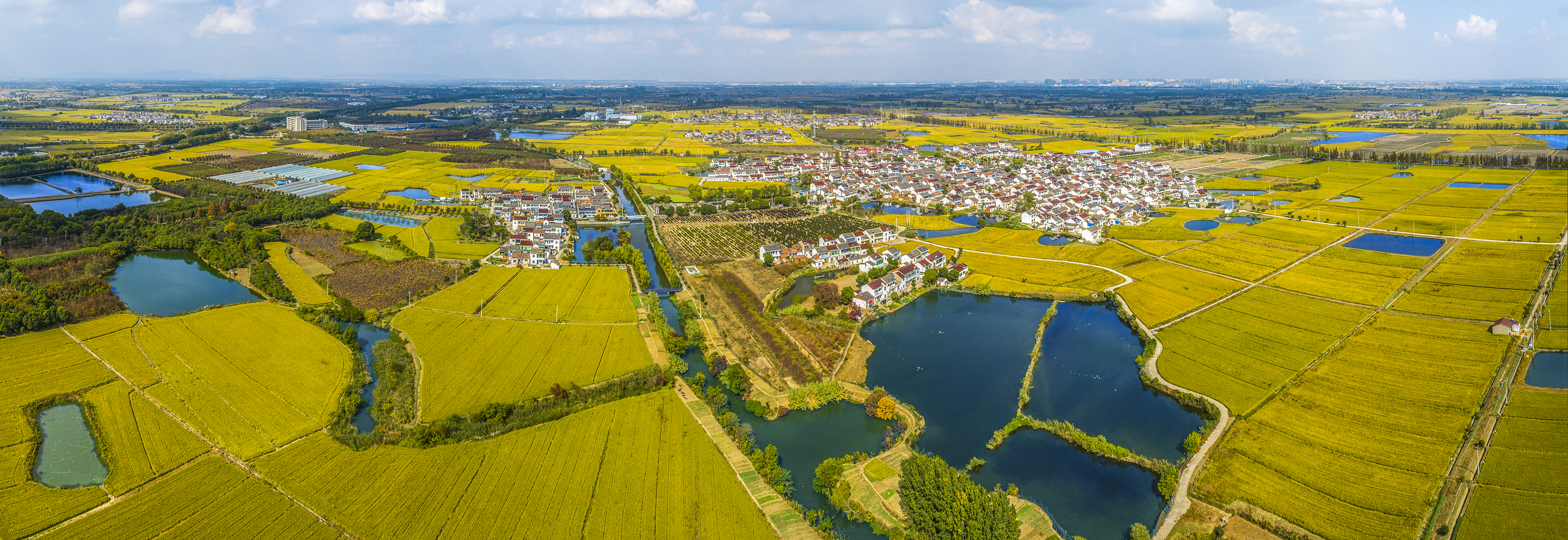 最美传统古村落——丹阳柳茹村,柳茹村形成于南宋初期,距今已有800多年的历史,宋、元、明、清建筑散落其中,在秋菊绽放的季节,随处都是沁人心脾的气息。