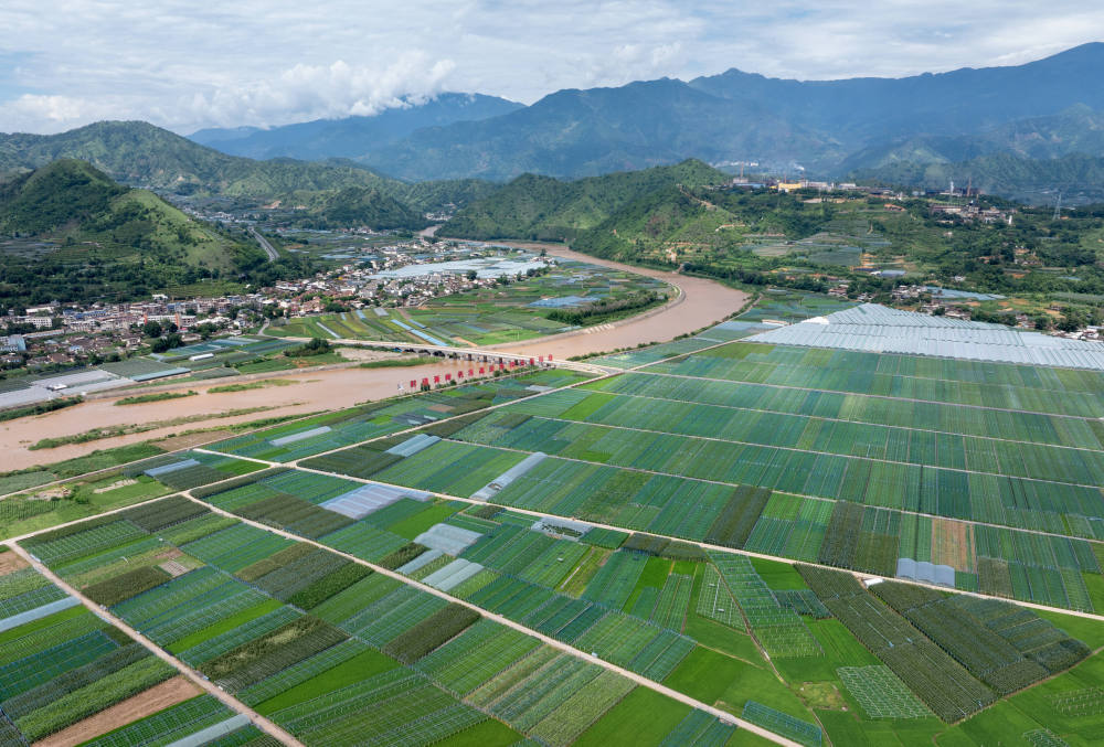 7月9日俯拍的四川省攀枝花市米易县撒莲镇安全村高标准农田(无人机照片)。新华社记者 江宏景 摄