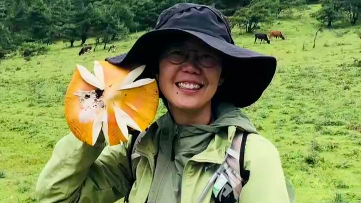 北大硕士回应放弃律所工作当双语导游