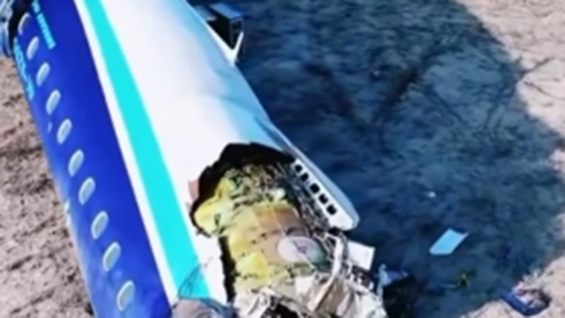 中国民航局回应近期外航事故：强化鸟击风险防范的针对性和有效性，全面排查治理隐患