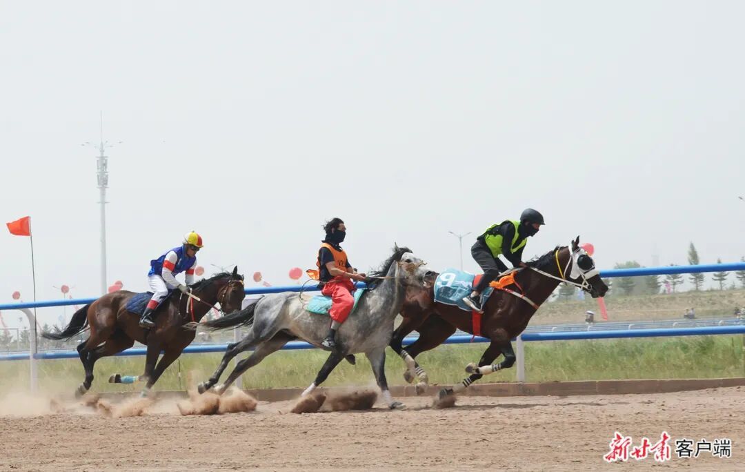 新甘肃&middot;甘肃日报记者　侯洪建　摄