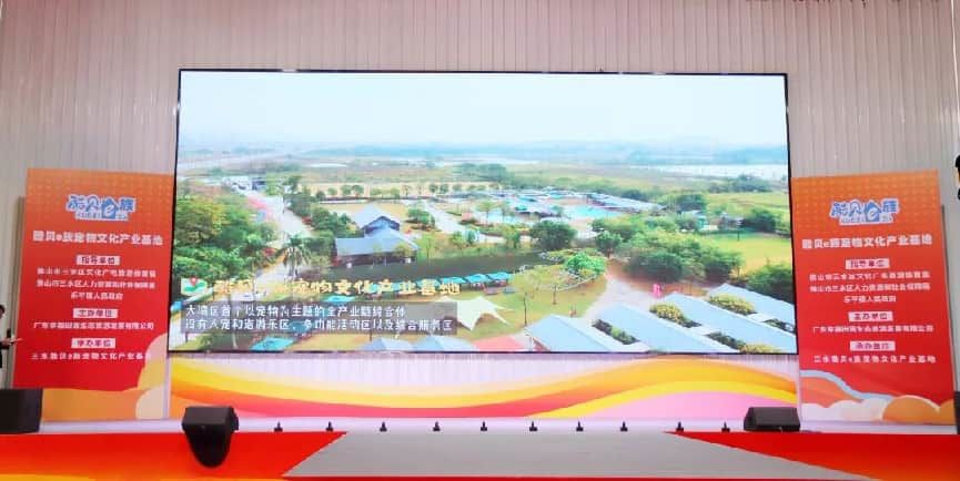 图:乐平镇发布一批宠物友好场景