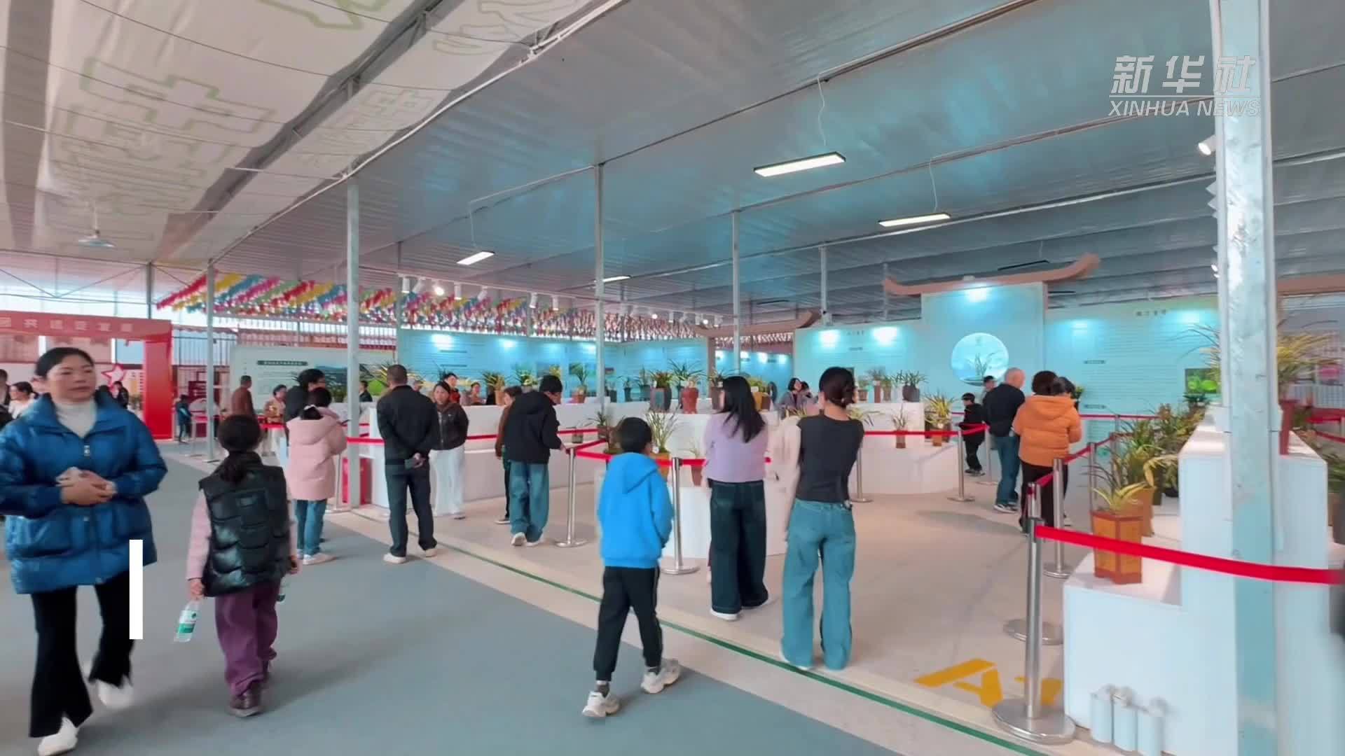 2025年广东·翁源兰花节开幕