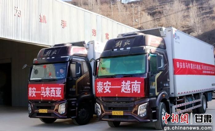 图为天水市秦安县王铺镇马铃薯交易市场，一批总计100吨、经过严格筛选与检疫的优质马铃薯正式装箱发车，运往东南亚市场。秦安县委宣传部供图