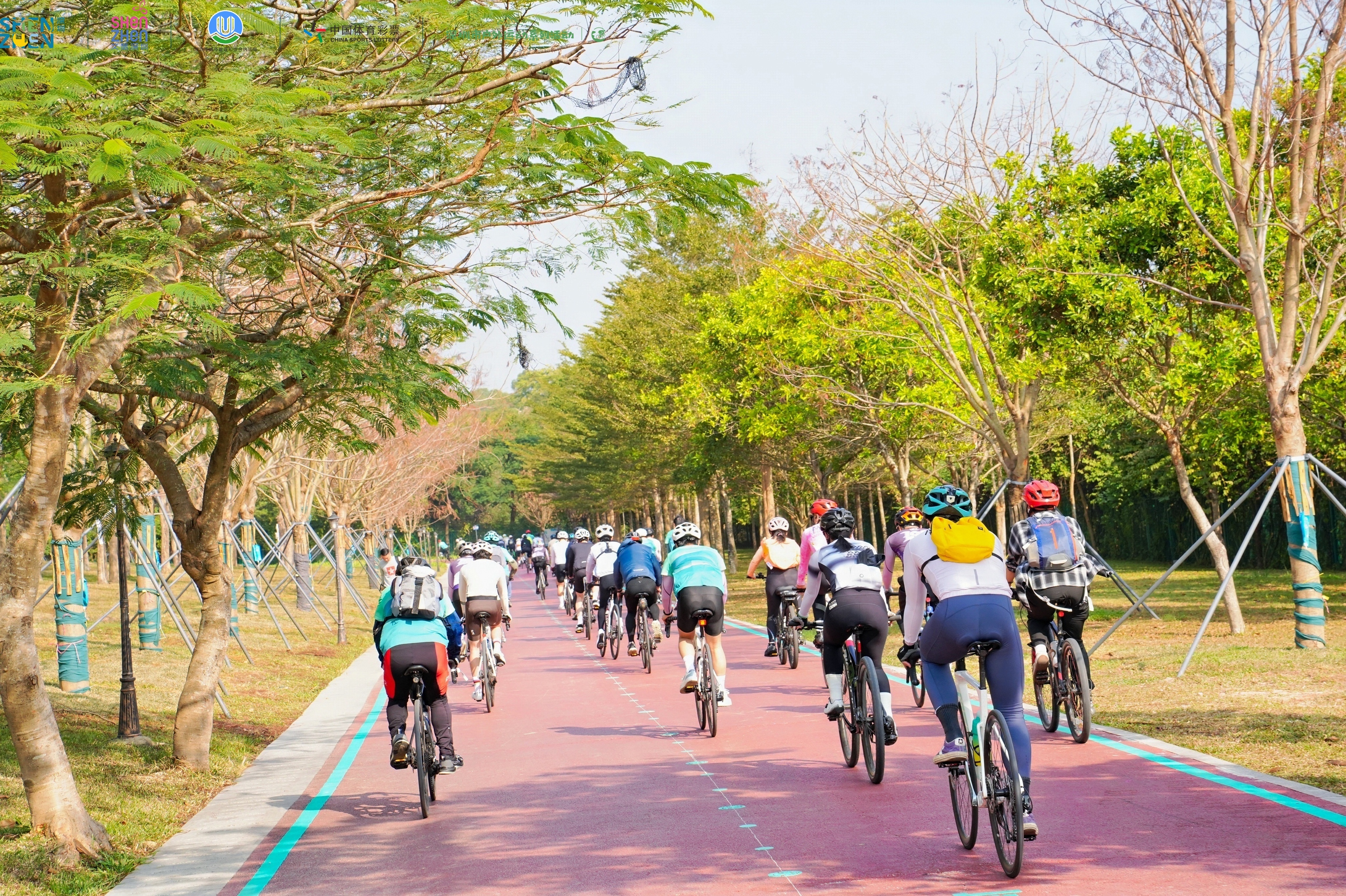 打造宜居城市，深圳以休闲骑行道连通民心