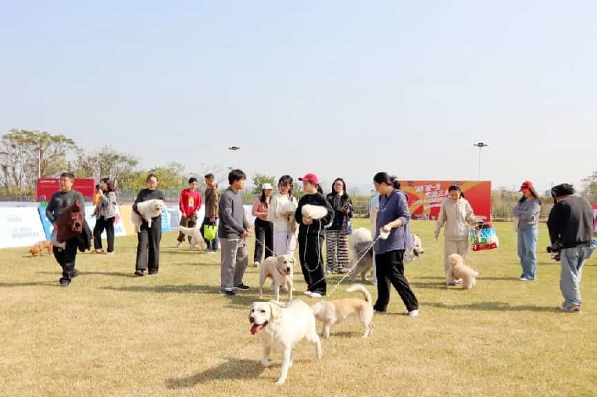 图:当天的活动吸引众多宠主携爱宠打卡
