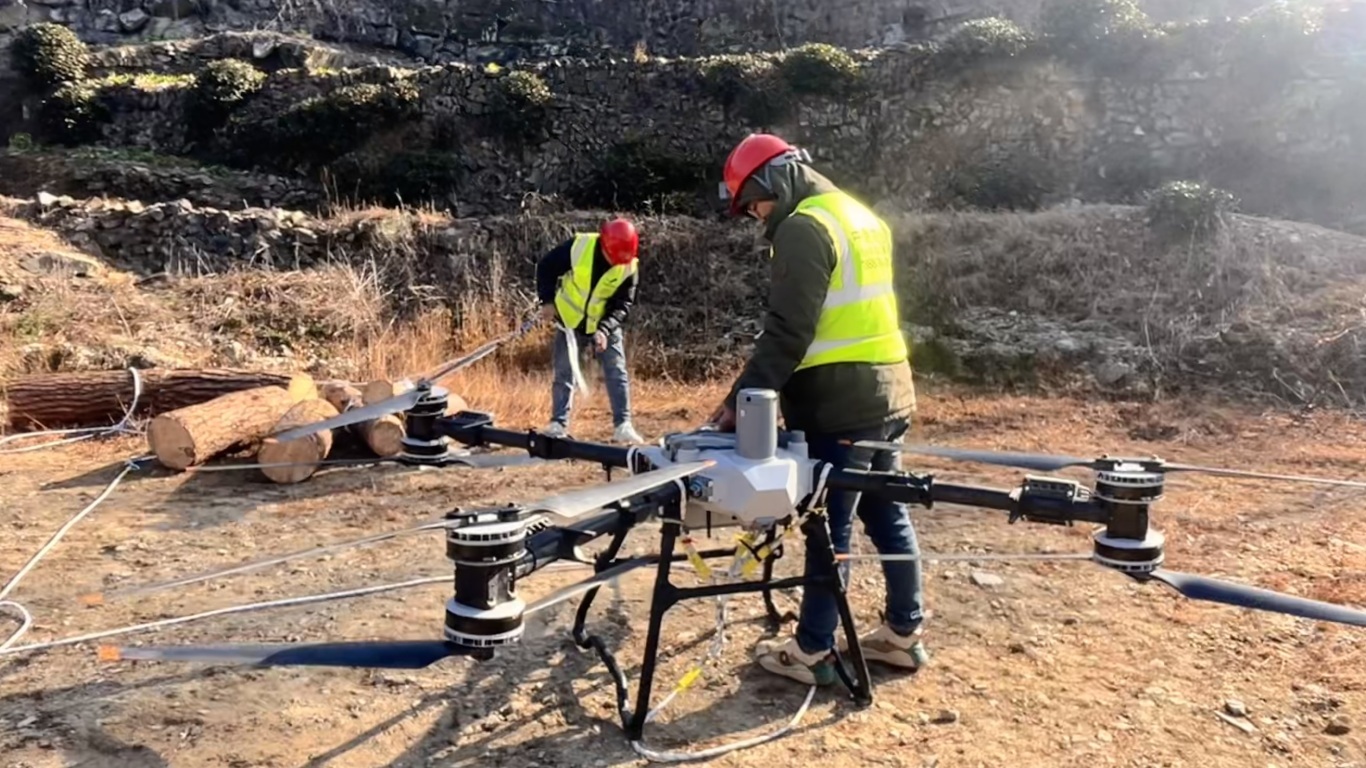 24.12.31 齐溪镇疫木运输 (5).JPG