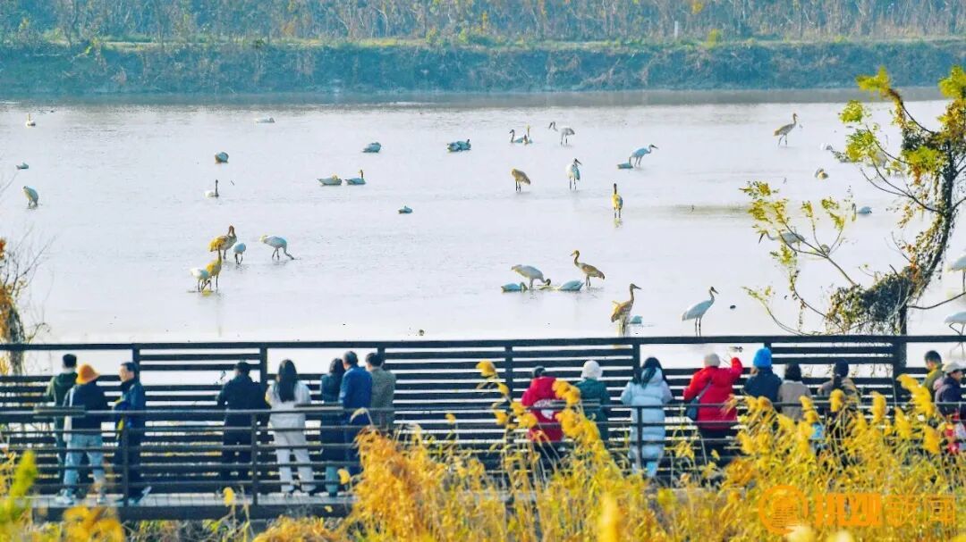 图源：南昌发布