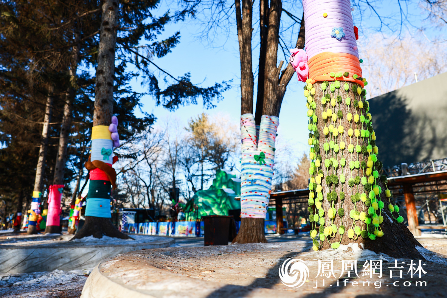 图集|最治愈的“穿搭”！长春给树穿上“高定”毛衣