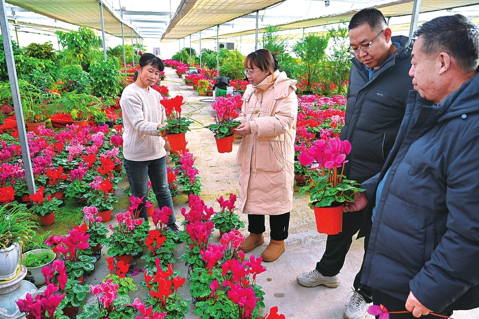 晋中左权：花卉市场迎销售高峰