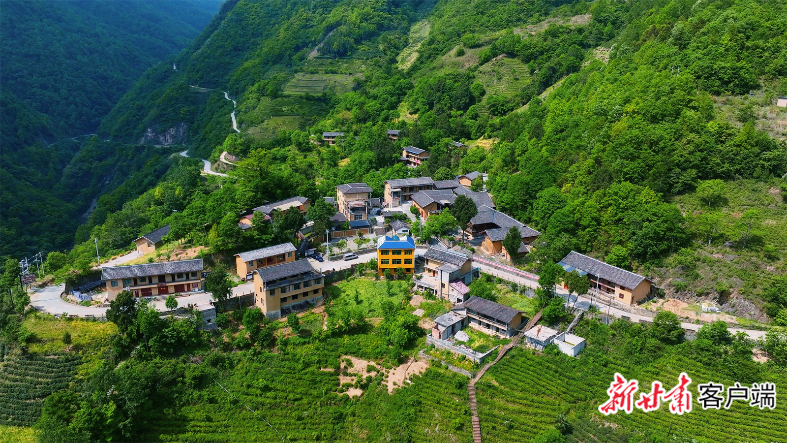 茶园碳票是武都区裕河镇将“好生态”转化为“好经济”的有效途径之一