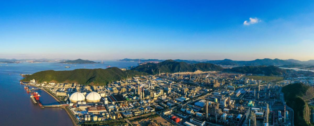 绿满港城——解码“哺绿促金”的北仑实践