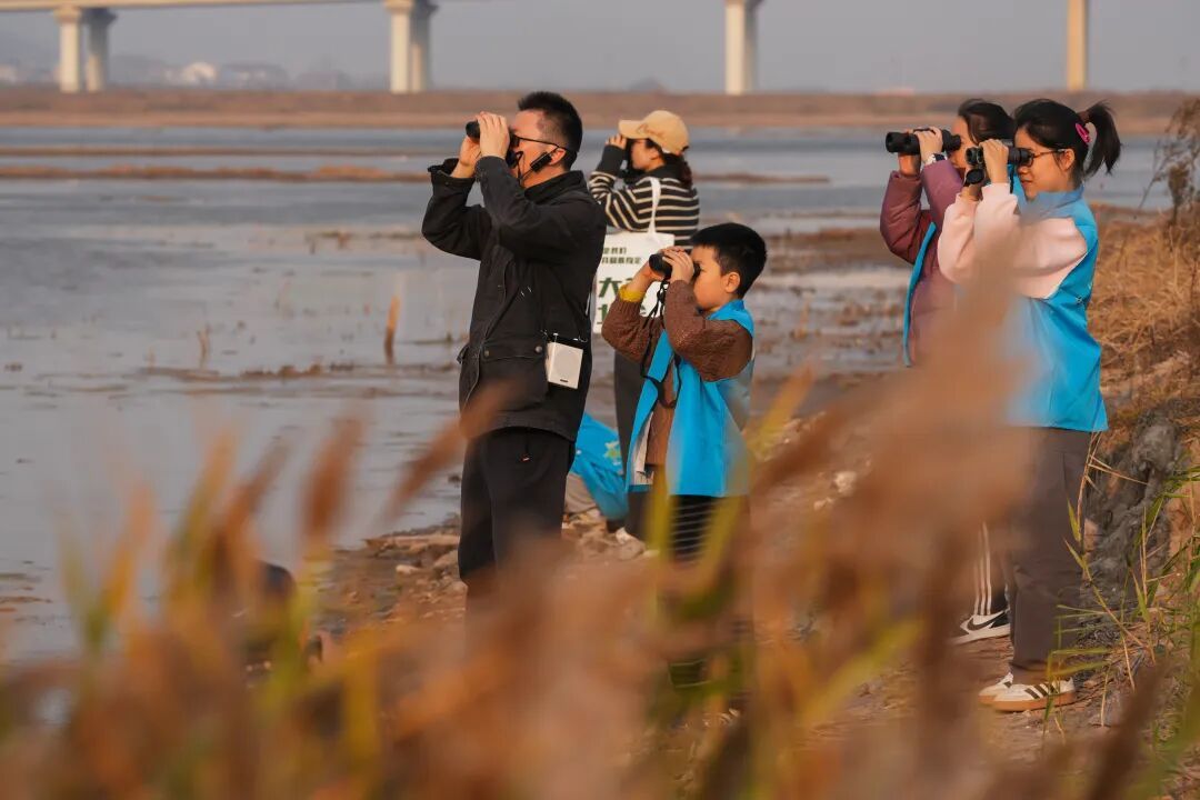 绿满港城——解码“哺绿促金”的北仑实践