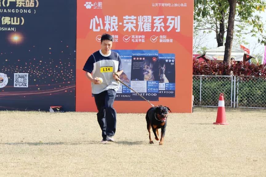 图:CKURK罗威纳展