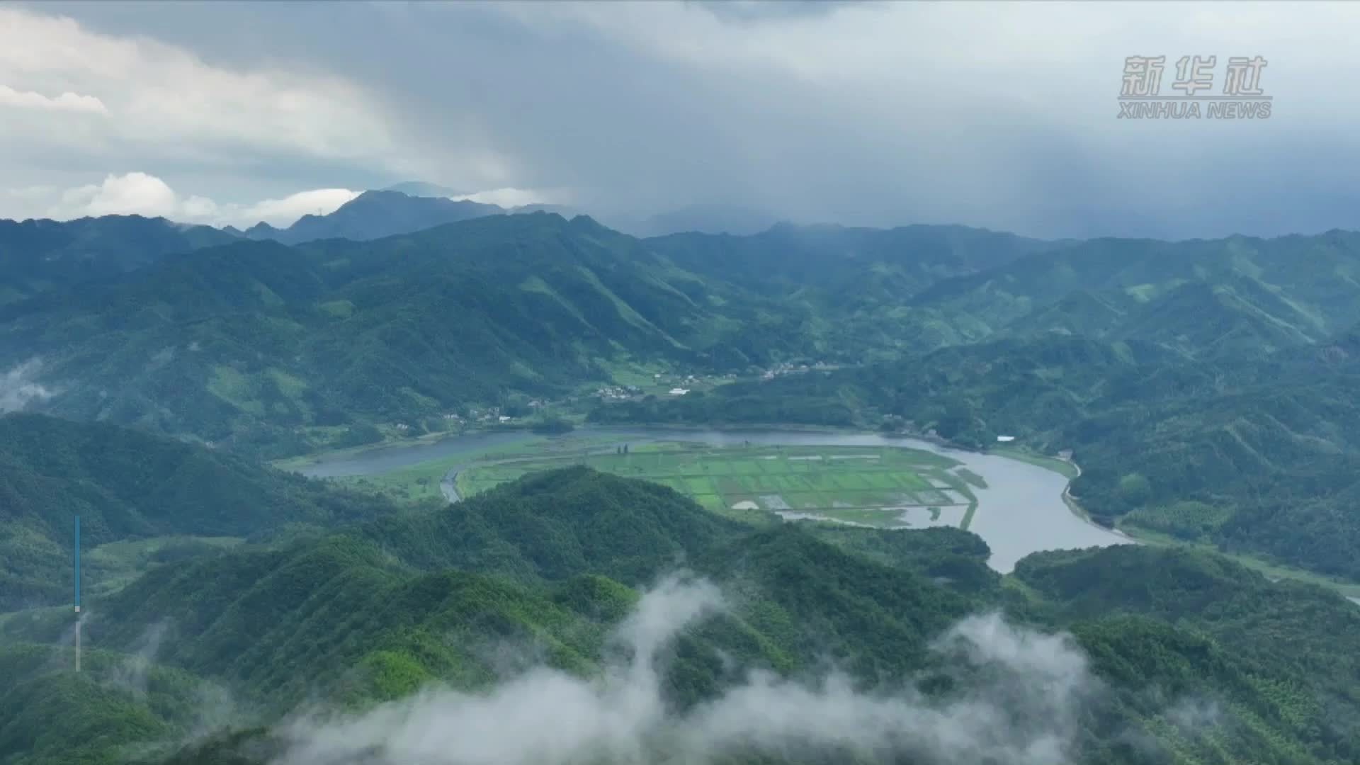 乡村新活力｜寻味花林畈：生态蝶变绘就幸福图景