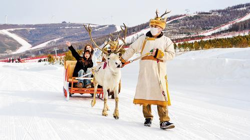 12月10日，雪如意&middot;雪橇乐园推出驯鹿拉雪橇项目，吸引了越来越多的游客。 张家口崇礼奥林匹克公园供图