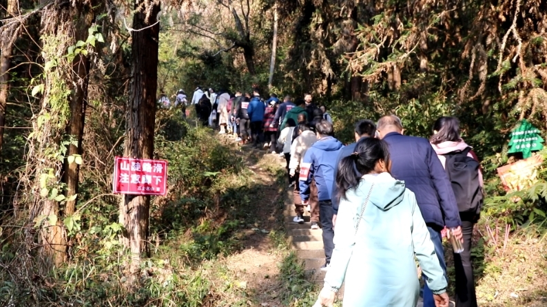 吉安永新县：新年登高共启新程