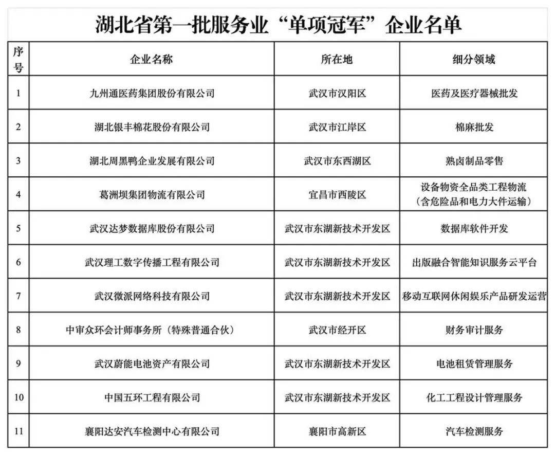 湖北省第一批服务业“单项冠军”企业名单