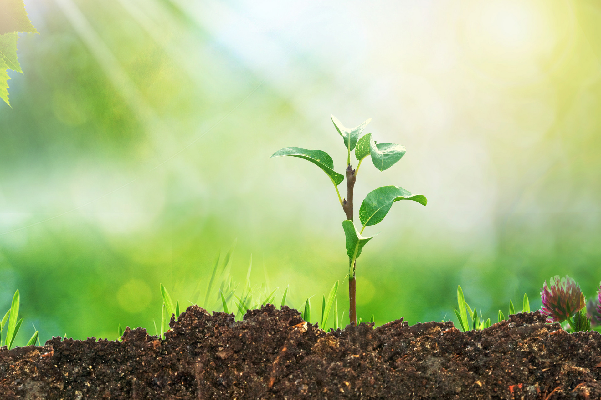 把好三道关口 城阳区加强土壤环境保护与污染风险管控