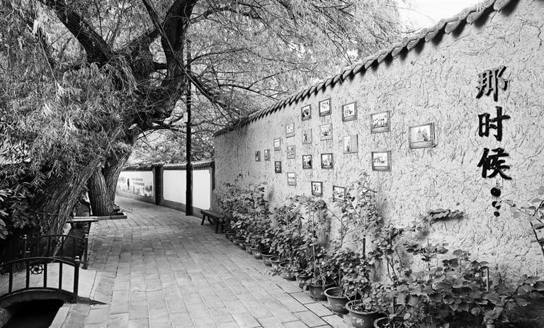 顾家善村　田蹊