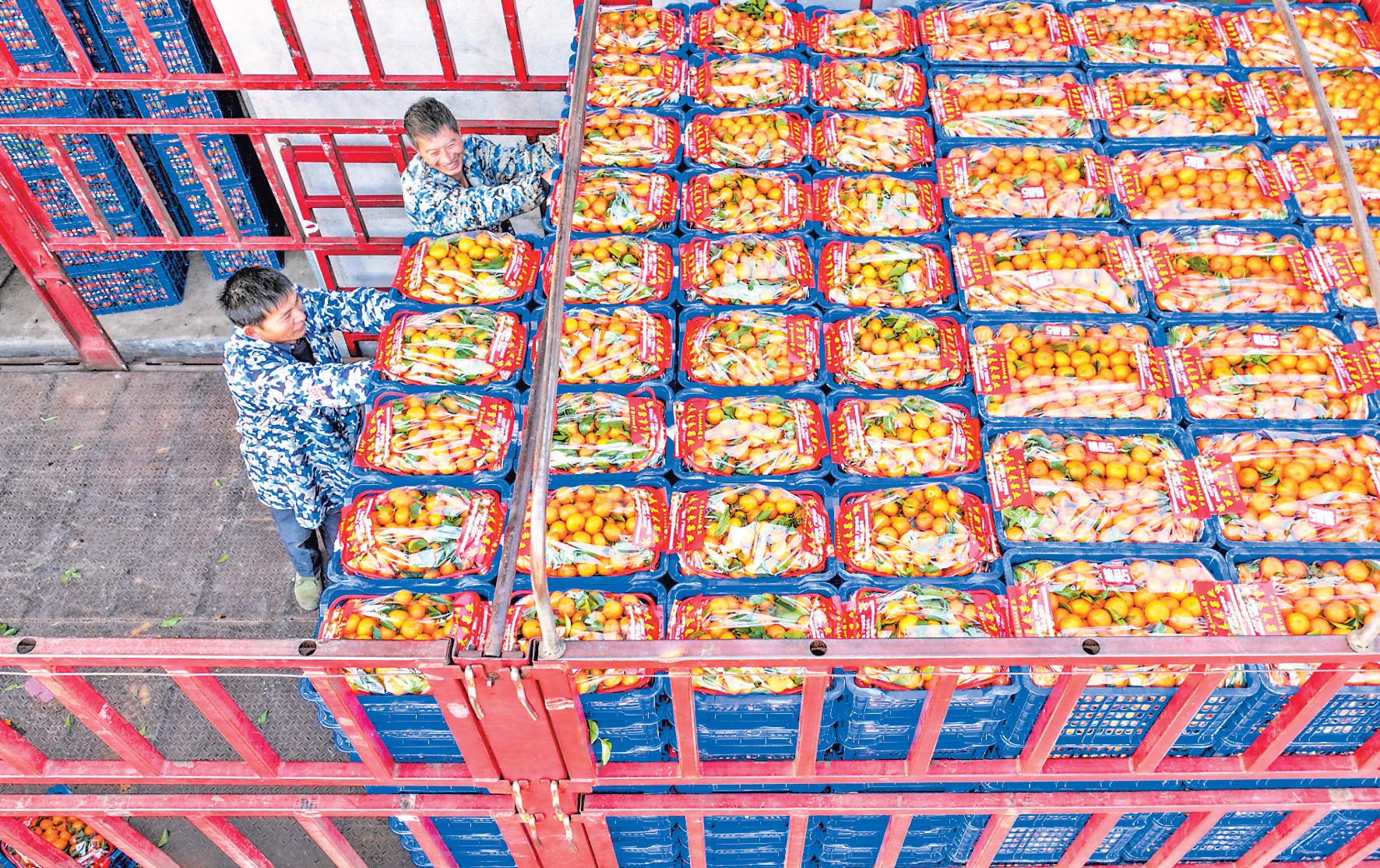 1月2日，在南丰县市山镇耀里村天天来果业公司，工人正在将南丰蜜橘装车，销往全国各地。谢东摄