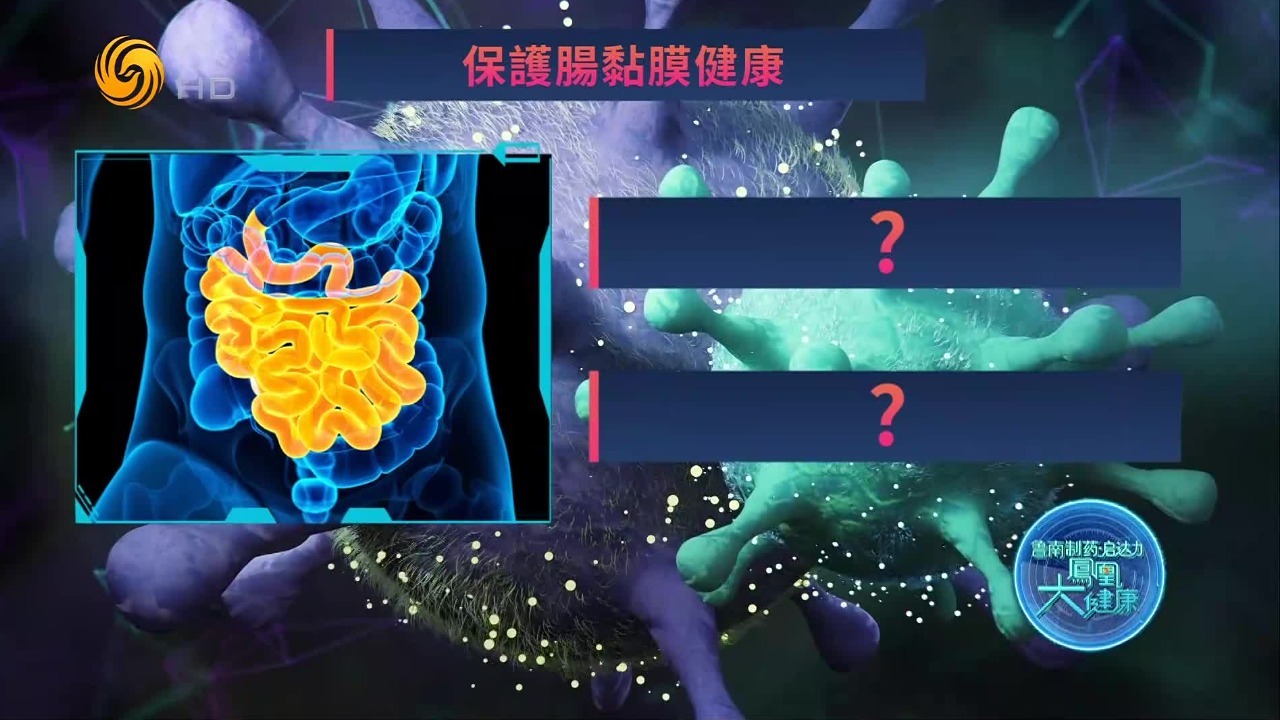 只需要简单的两个步骤，就能保护好肠道黏膜健康，提高自己的免疫力