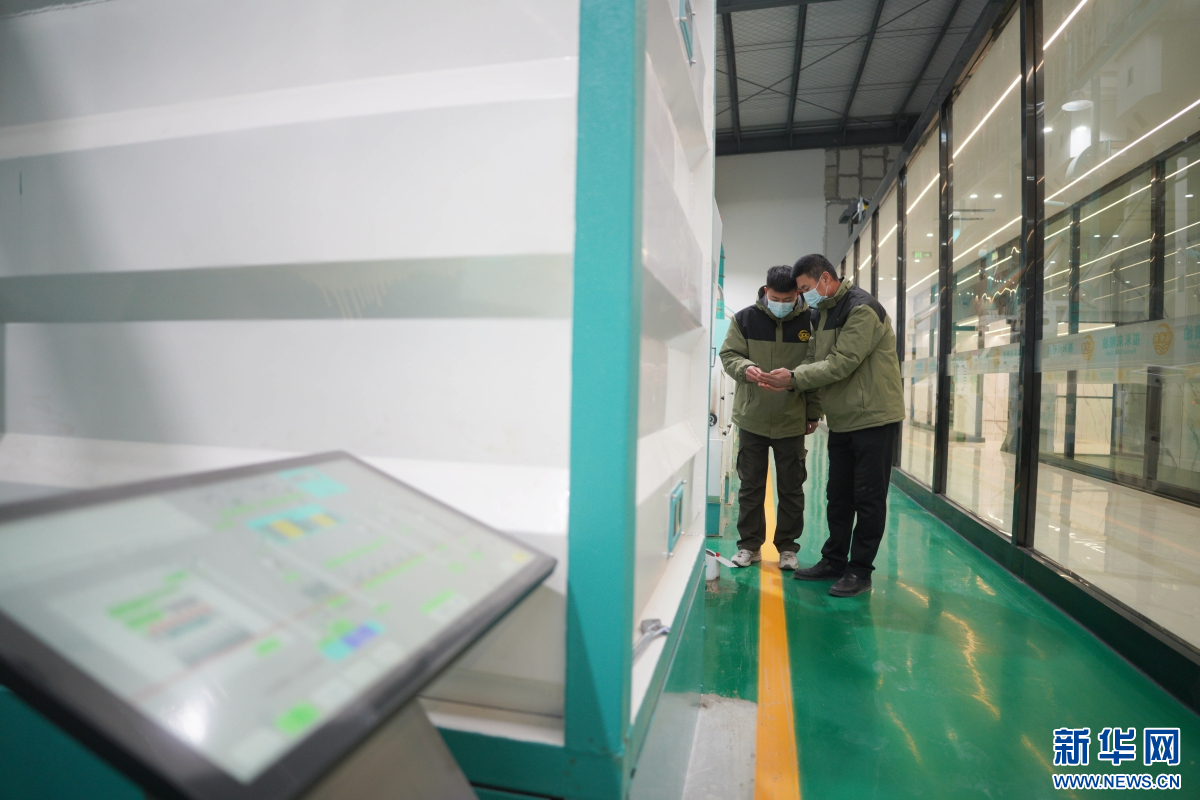 1月2日，内丘县工业园区一家食品企业的员工在车间查看产品质量。新华网发 刘继东 摄