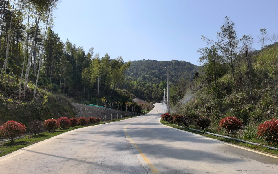 通往矿区的绿色道路。何贱来/摄