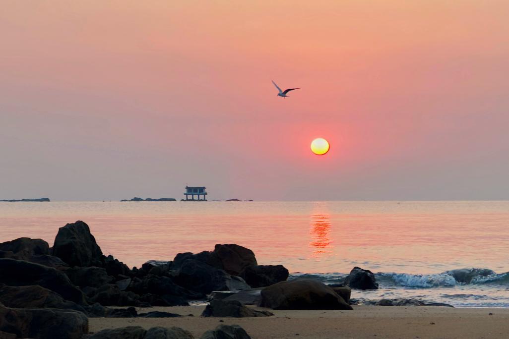 朝霞映照着海面，海鸥在这片绚烂的天幕下振翅翱翔。安玉峰 摄