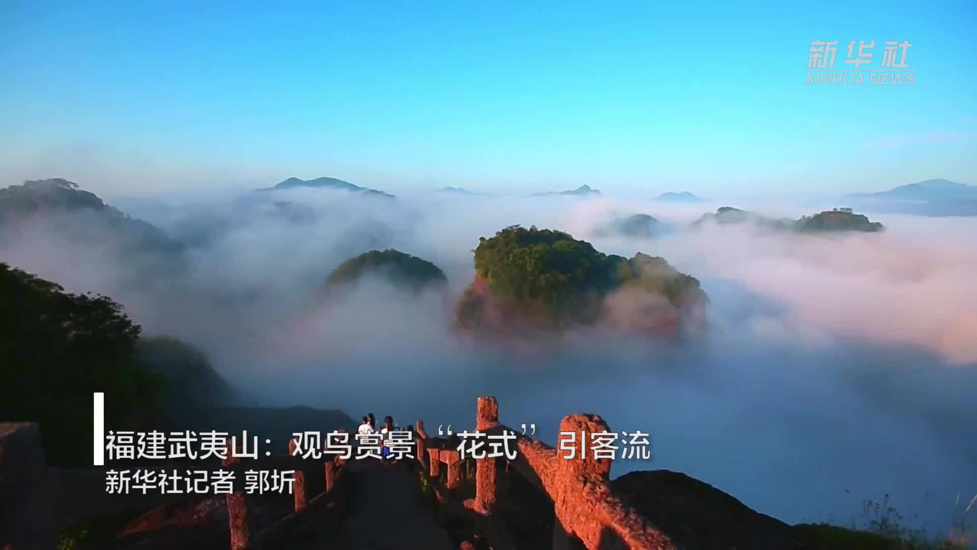 福建武夷山：观鸟赏景“花式”引客流