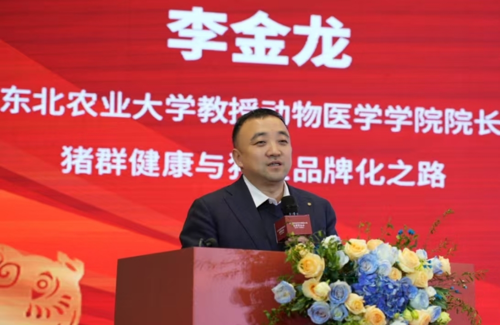 赋能！2025中华龙猪节暨中国猪业品牌发展大会举行专业演讲