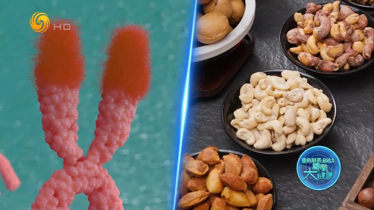 如何靠吃延缓端粒衰老？每天一小把坚果，端粒长度增加8.5个单位