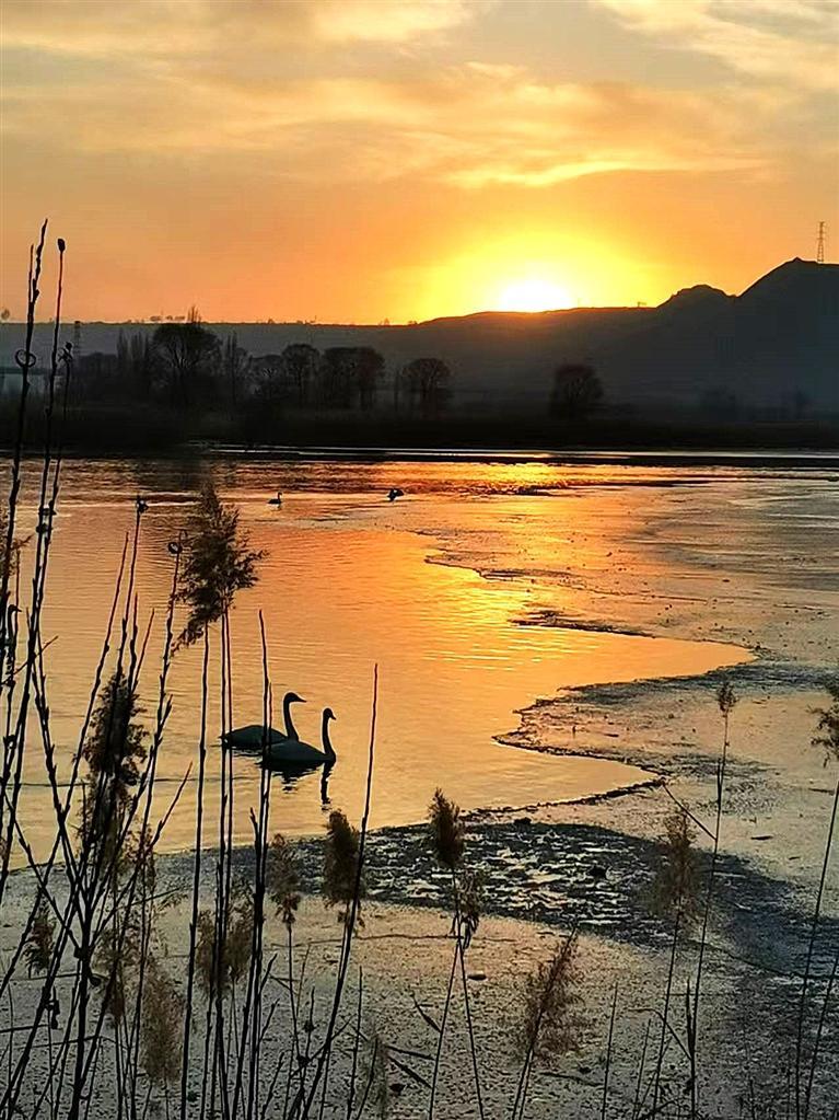 长河落日　杨玲/摄