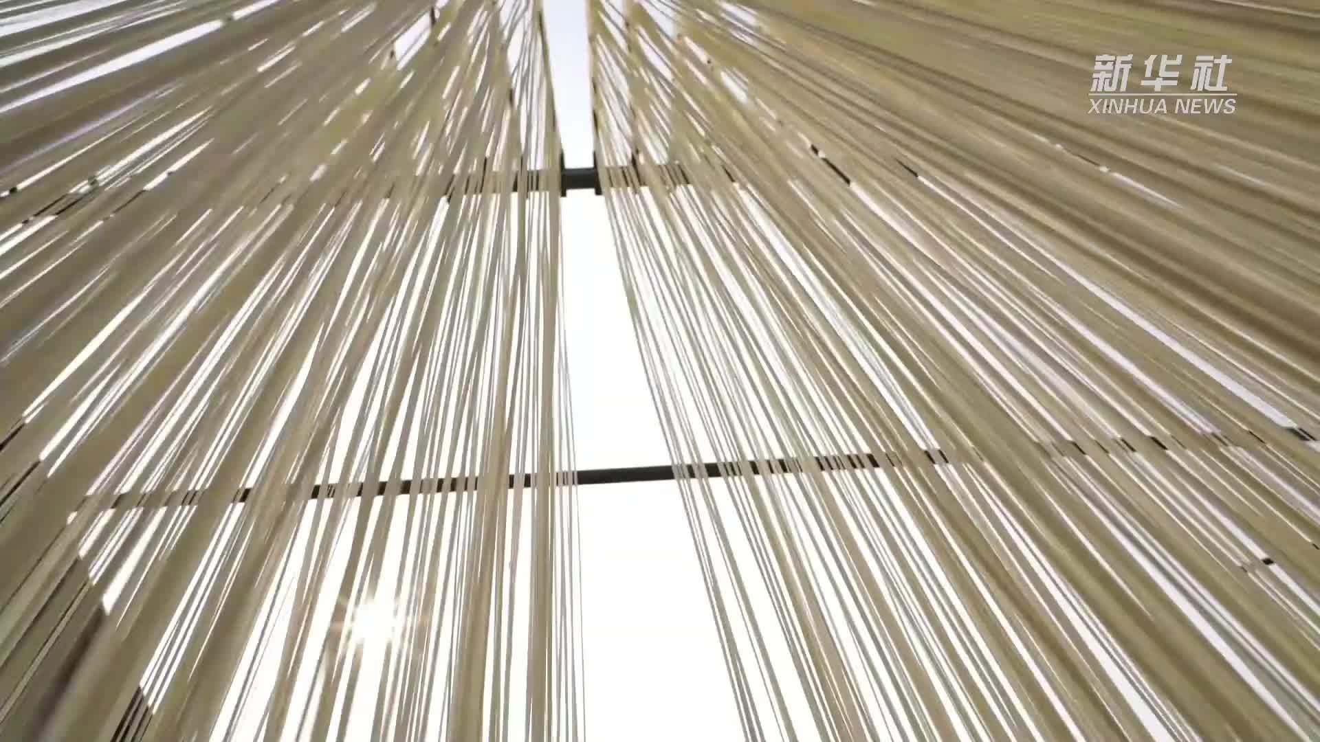 千城百县看中国·年味｜河北新河：手工挂面赶制忙
